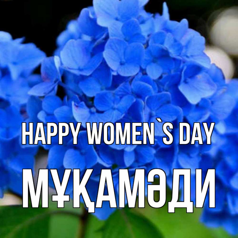 Greetings card с именем, МҰҚАМӘДИ happy women`s day синие цветы Greetings with text for free download 